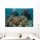 Beautiful Coral Reef Thrives Wall Decal Design 1