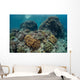 Beautiful Coral Reef Thrives Wall Decal Design 1
