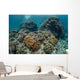 Beautiful Coral Reef Thrives Wall Decal Design 1
