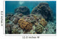 Beautiful Coral Reef Thrives Wall Decal Design 1