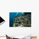 Scuba Diver Swims above Wall Decal Design 1