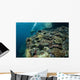 Scuba Diver Swims above Wall Decal Design 1