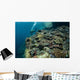 Scuba Diver Swims above Wall Decal Design 1