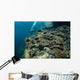 Scuba Diver Swims above Wall Decal Design 1