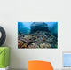 Beautiful Coral Reef Thrives Wall Decal Design 2