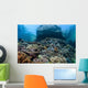 Beautiful Coral Reef Thrives Wall Decal Design 2