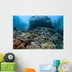 Beautiful Coral Reef Thrives Wall Decal Design 2