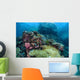 Beautiful Coral Reef Thrives Wall Decal Design 1