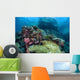 Beautiful Coral Reef Thrives Wall Decal Design 1