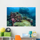 Beautiful Coral Reef Thrives Wall Decal Design 1