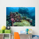 Beautiful Coral Reef Thrives Wall Decal Design 1
