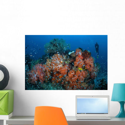 Cardinalfish Surround Beautiful Set Wall Decal Design 1 shown on a wall