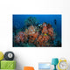 Cardinalfish Surround Beautiful Set Wall Decal Design 1