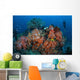 Cardinalfish Surround Beautiful Set Wall Decal Design 1