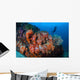 Beautiful Cluster Soft Coral Wall Decal Design 1