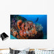 Beautiful Cluster Soft Coral Wall Decal Design 1