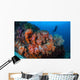 Beautiful Cluster Soft Coral Wall Decal Design 1