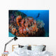 Beautiful Cluster Soft Coral Wall Decal Design 1