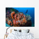 Beautiful Cluster Soft Coral Wall Decal Design 1
