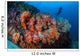 Beautiful Cluster Soft Coral Wall Decal Design 1