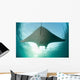 Manta Ray Swims into Wall Decal