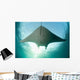 Manta Ray Swims into Wall Decal