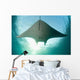 Manta Ray Swims into Wall Decal