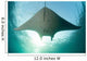 Manta Ray Swims into Wall Decal
