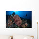 Scuba Diver Explores Reef Wall Decal