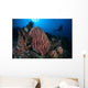 Scuba Diver Explores Reef Wall Decal