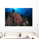 Scuba Diver Explores Reef Wall Decal
