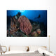 Scuba Diver Explores Reef Wall Decal