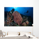 Scuba Diver Explores Reef Wall Decal