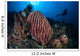 Scuba Diver Explores Reef Wall Decal