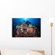 Beautiful Coral Reef Grows Wall Decal Design 1