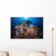 Beautiful Coral Reef Grows Wall Decal Design 1
