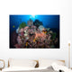 Beautiful Coral Reef Grows Wall Decal Design 1