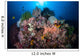 Beautiful Coral Reef Grows Wall Decal Design 1