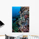 Well-camouflaged Crocodilefish Lies Coral Wall Decal Design 2