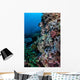 Well-camouflaged Crocodilefish Lies Coral Wall Decal Design 2