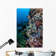 Well-camouflaged Crocodilefish Lies Coral Wall Decal Design 2