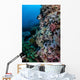 Well-camouflaged Crocodilefish Lies Coral Wall Decal Design 2