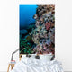 Well-camouflaged Crocodilefish Lies Coral Wall Decal Design 2