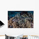Well-camouflaged Crocodilefish Lies Coral Wall Decal Design 1