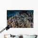 Well-camouflaged Crocodilefish Lies Coral Wall Decal Design 1