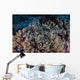 Well-camouflaged Crocodilefish Lies Coral Wall Decal Design 1