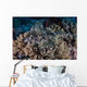 Well-camouflaged Crocodilefish Lies Coral Wall Decal Design 1
