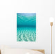 Bright Sunlight Ripples across Wall Decal