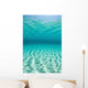 Bright Sunlight Ripples across Wall Decal