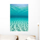 Bright Sunlight Ripples across Wall Decal